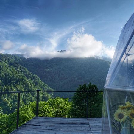 Mtirala Glamping Hotel Chakvistavi Kültér fotó