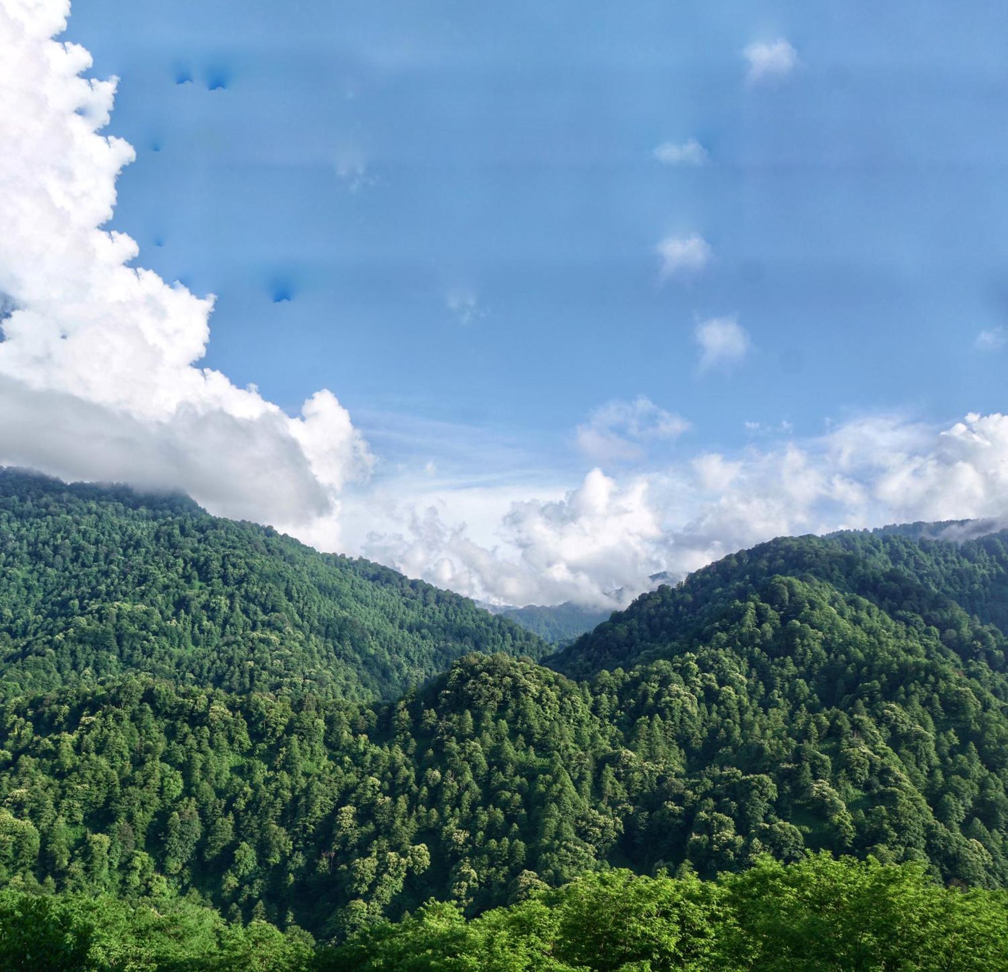 Mtirala Glamping Hotel Chakvistavi Kültér fotó